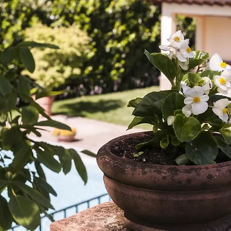 Alojamento de Acomodação e Pequeno-almoço Relais Victoria