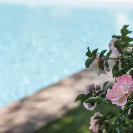 Alojamento de Acomodação e Pequeno-almoço Relais Victoria 3*
